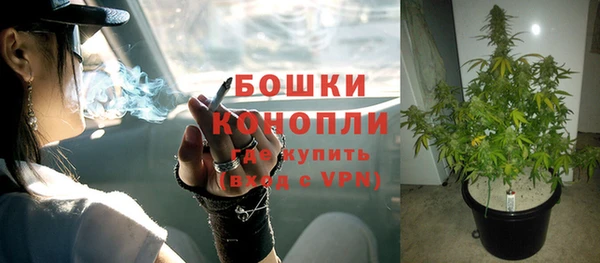 соль ск Волосово