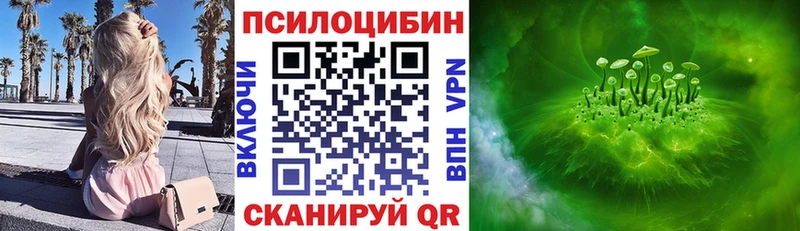 Купить закладки  Усть-Лабинск  Псилоцибиновые грибы Psilocybine cubensis 
