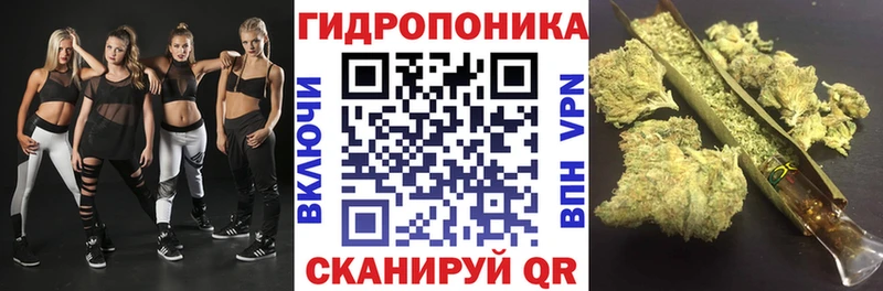 Шишки марихуана марихуана  Купить где  Усть-Лабинск 